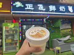 酸奶酪-正飞鲜奶(吐鲁番路店)