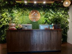 -小熊维尼高端儿童摄影(宝安旗舰店)