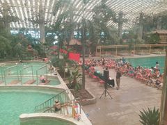 -龙脉温泉室内游泳馆