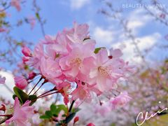 -闵行体育公园(七宝镇)