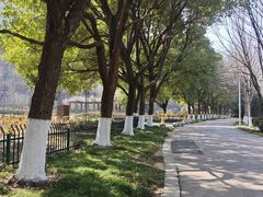 -幕燕滨江·长江观音景区