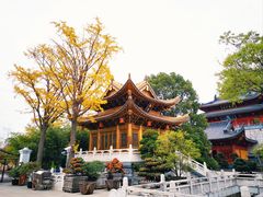 -上海东林寺(金山区)