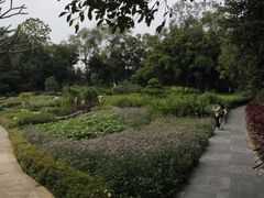 -广西壮族自治区药用植物园