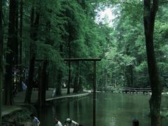 -波尔登森林公园