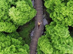 -桤木河湿地公园