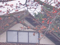-喜洲吧·江畔老船厂·庭院餐厅(喜临院店)