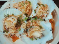 扇贝-盒马鲜生(大成店)