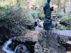 -王顺山国家森林公园