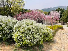 -北京西山国家森林公园