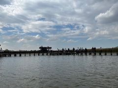 -宁波杭州湾国家湿地公园
