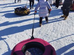 -绿野森林乐园冰雪季