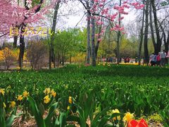 -国家植物园南园