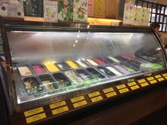 -莓园冰淇淋店
