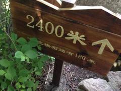 -三块石国家森林公园