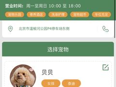 -爪吧宠物乐园·宠物泳池(温榆河示范区店)