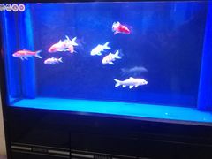 -北京邮电会议中心