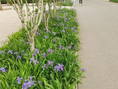 -坝河休闲公园