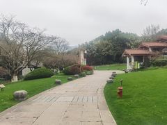 -中国茶叶博物馆(双峰馆区)