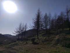 -武陵山森林公园