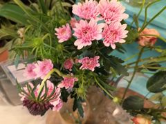 -BoBloom花店(晶耀前滩店)