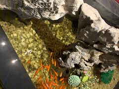 -冶春茶社(星汉大厦店)