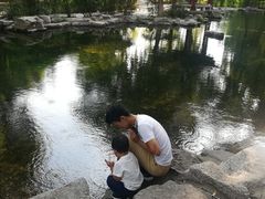 -百脉泉景区