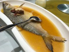 酒酿清蒸鲥鱼-席家花园(巨鹿花园店)