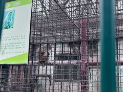 -保定市动物园