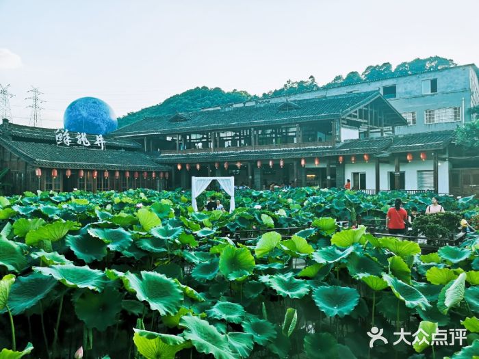 鲜龙井火锅公园(南山店)图片