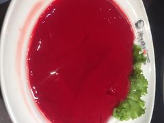 鲜鸭血-晓宇重庆火锅(赛格国际购物中心店)