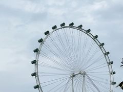 -新加坡摩天观景轮