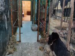 -北京动物园-畅观楼