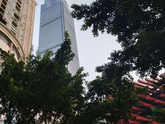 -WFC会仙楼观景台