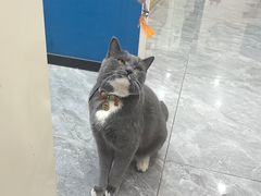 -芭比堂动物医院·CT·微创中心(新顺分院)