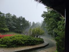 -庐山风景区花径公园