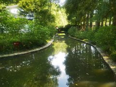 -上海共青森林公园