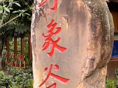 -野象谷景区