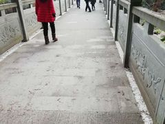 -重庆彩云湖湿地公园