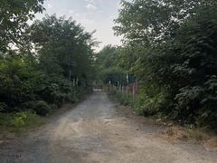 -亲兄弟真人CS团建拓展基地