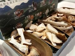 -芸山季·云南山珍菌火锅(南翔印象城MEGA店)