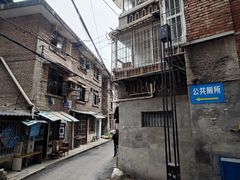 -食神又名厕所兔