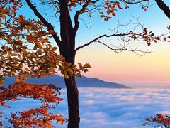 -五女山景区