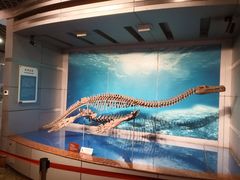 -自贡恐龙博物馆