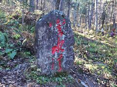 -五营红松林海景区