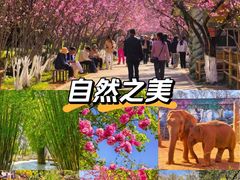 -昆明动物园