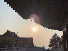 -铁山坪森林公园