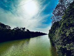 -上海海湾国家森林公园