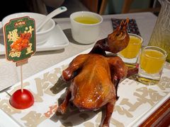 -大鸽饭(动物园店)
