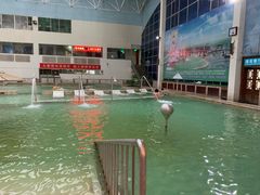 -龙脉温泉室内游泳馆