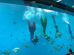 -瑞德姆美人鱼海底演艺主题餐厅(亚龙湾店)
